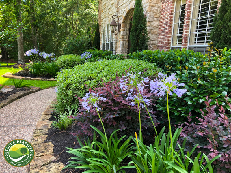 Beautiful Front yard flowers and landscaping design